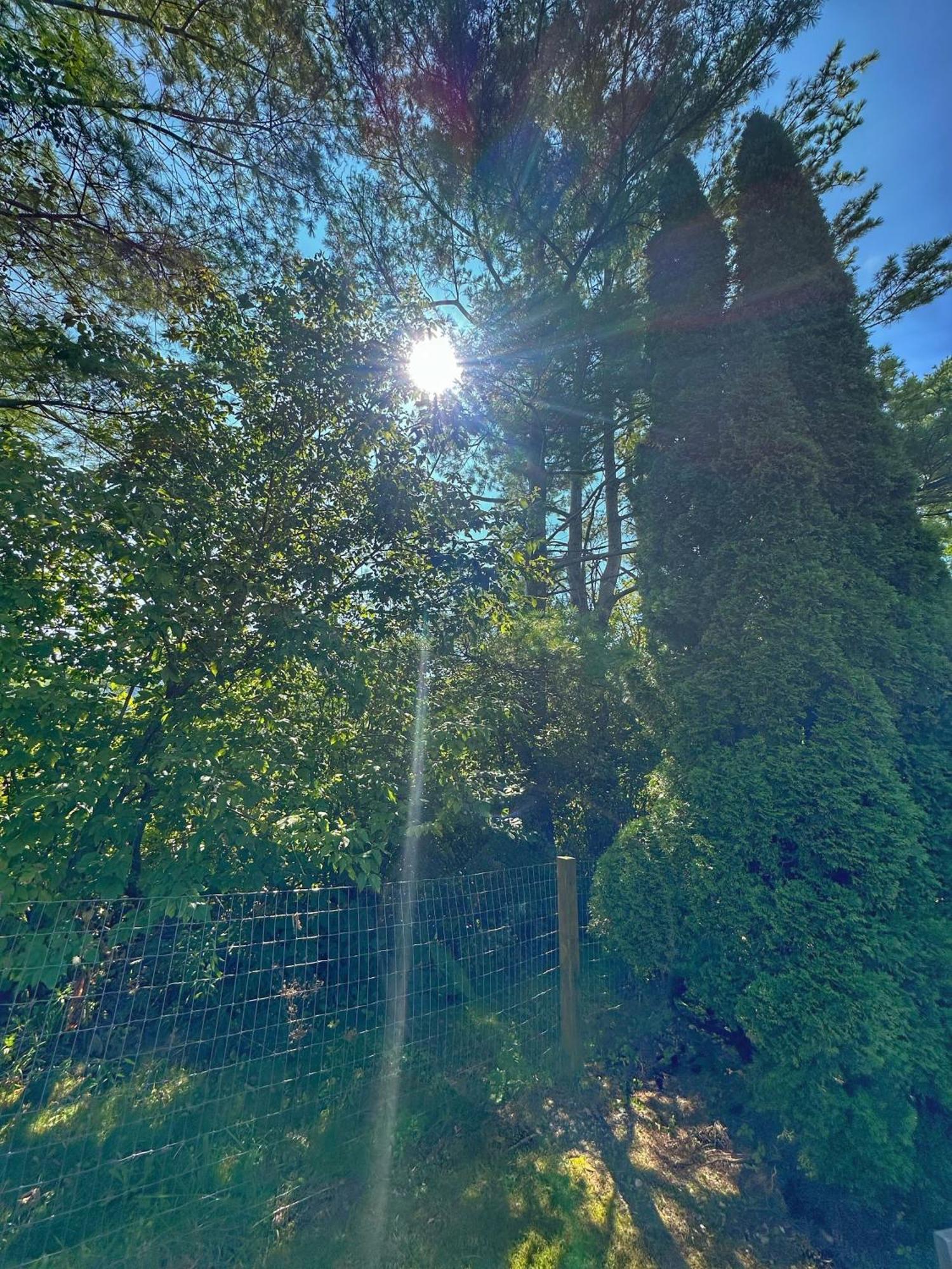 布列塔尼汽车旅馆 Sunderland 外观 照片